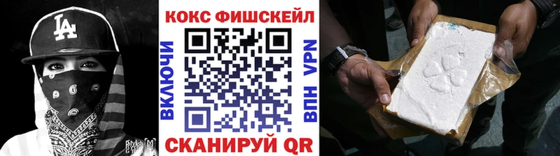 Купить где  Бирюсинск  COCAIN FishScale 