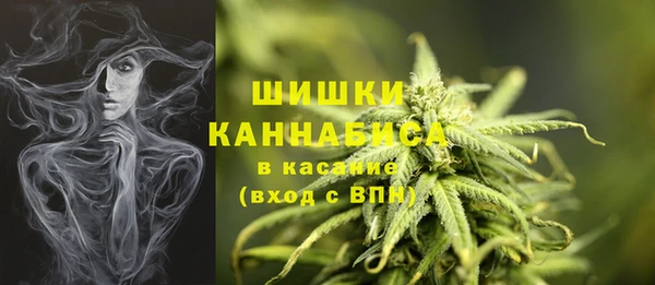 эйфоретик Богородск