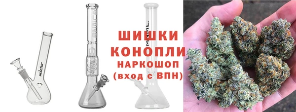 соль ск Богданович