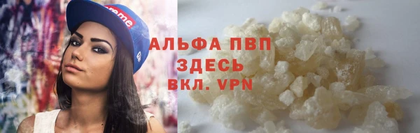 соль ск Богданович
