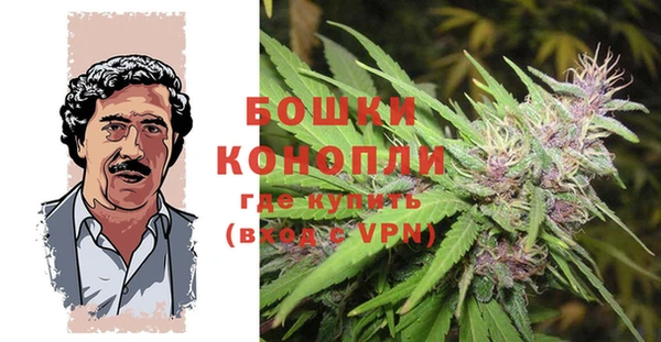 эйфоретик Богородск
