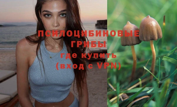 соль ск Богданович