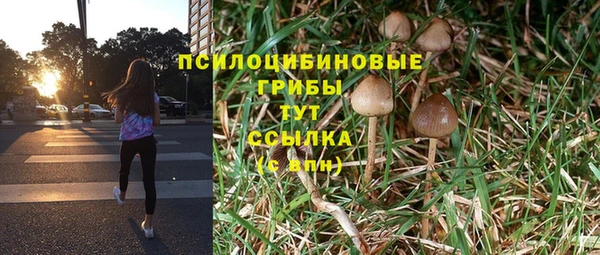амфетамин Богородицк