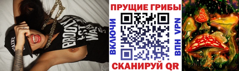 Купить Бирюсинск Псилоцибиновые грибы прущие грибы
