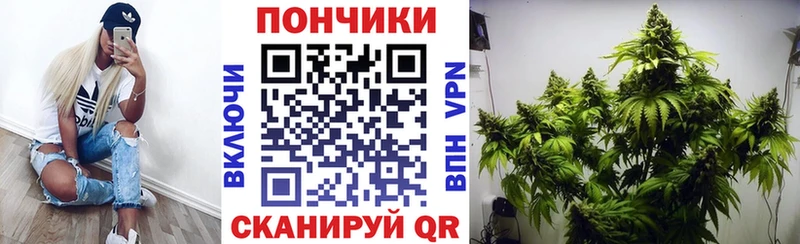 Шишки марихуана Ganja  Купить где  Бирюсинск 